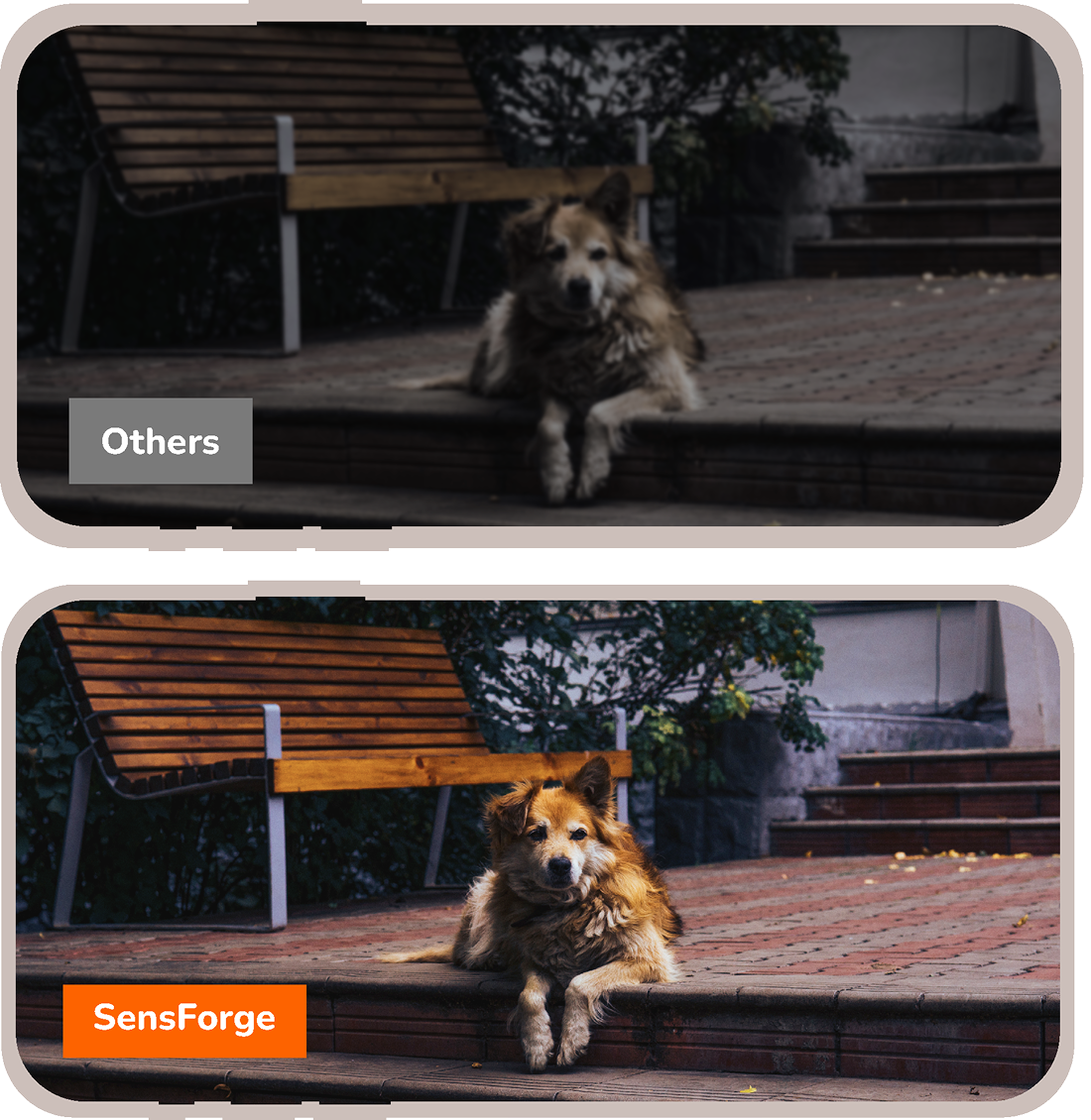 Comparison of full-color and standard night vision