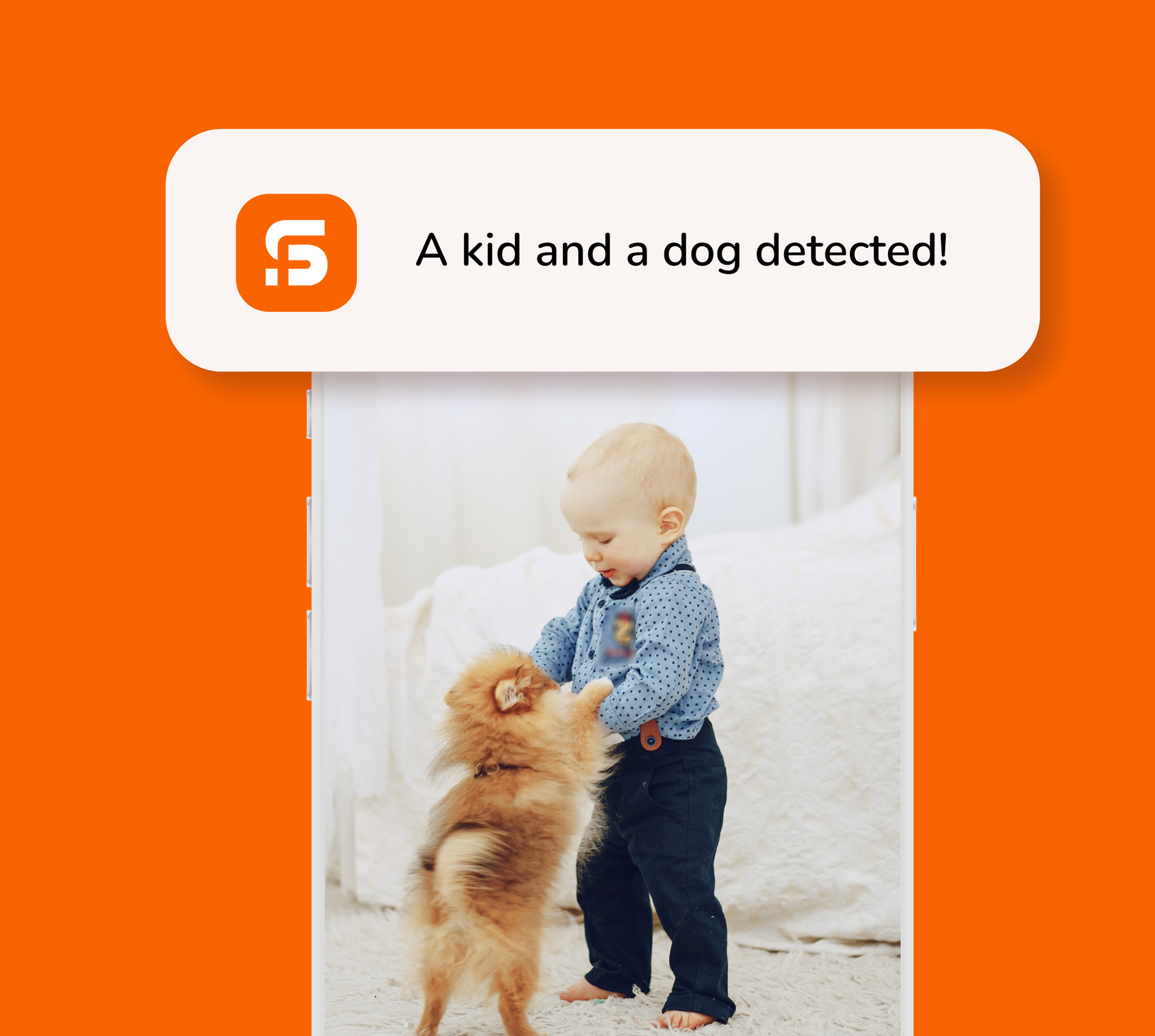 Smart Detection: Motion, Human, and more